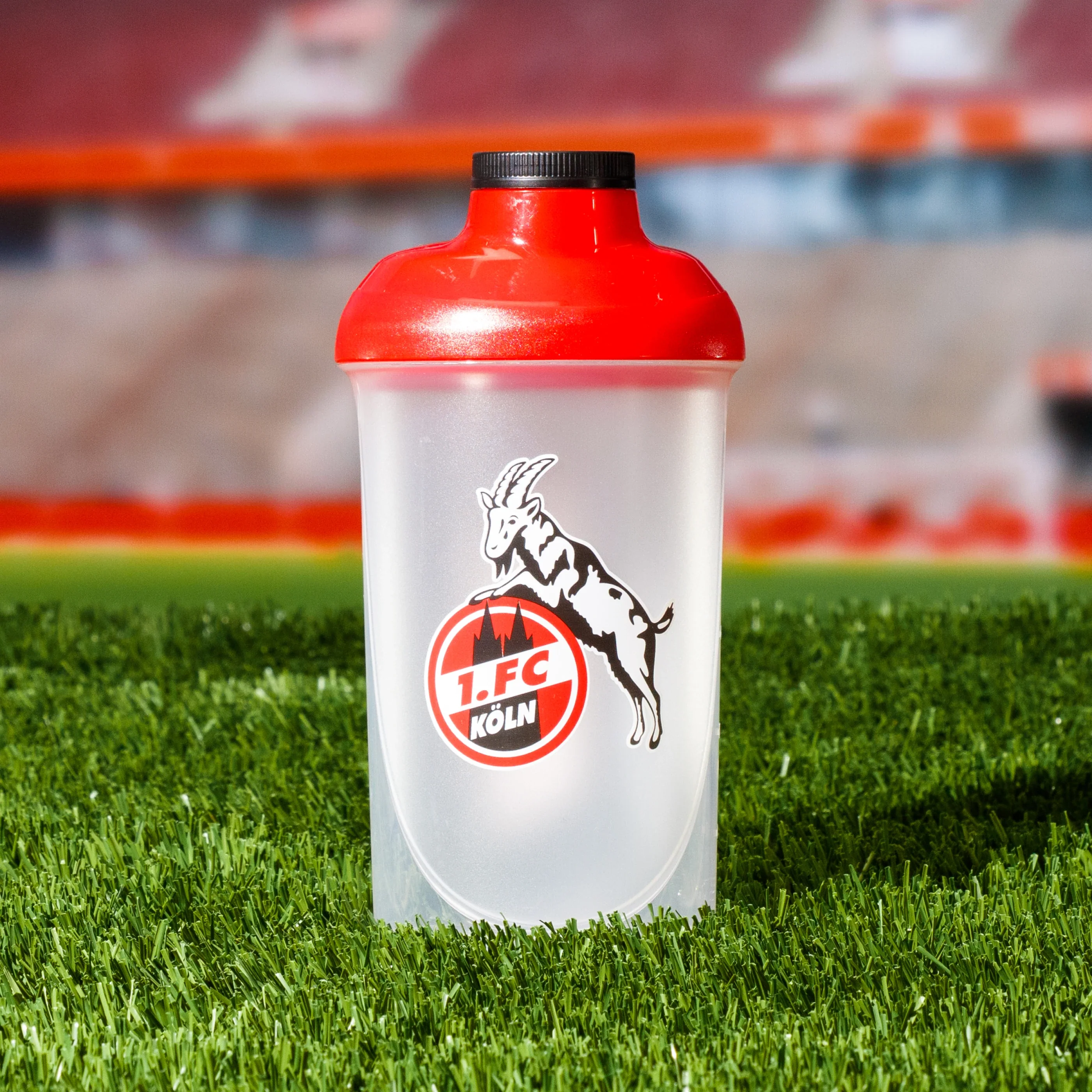 Shaker – 1. FC Köln - Image 2