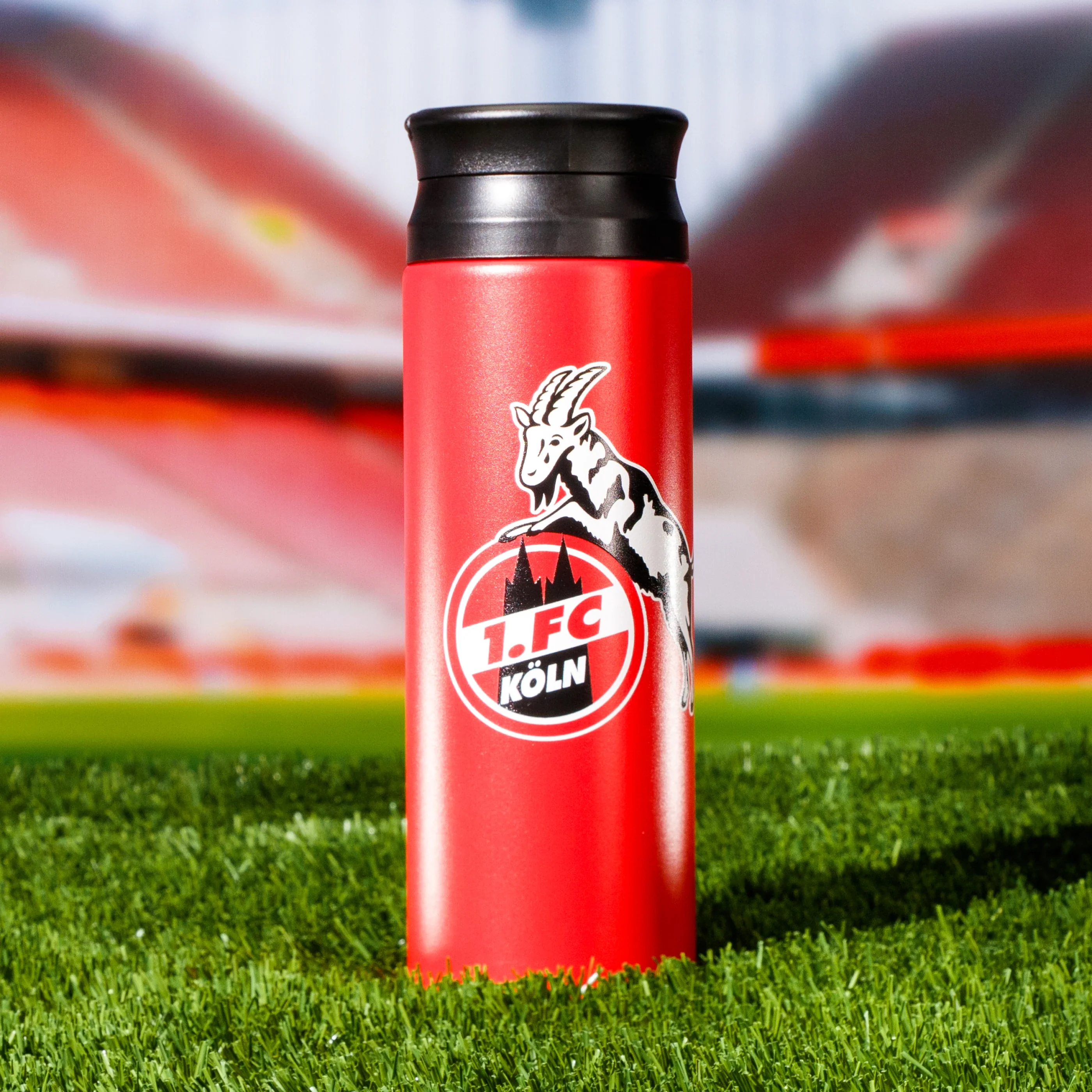 Thermo Shaker – 1. FC Köln - Image 2
